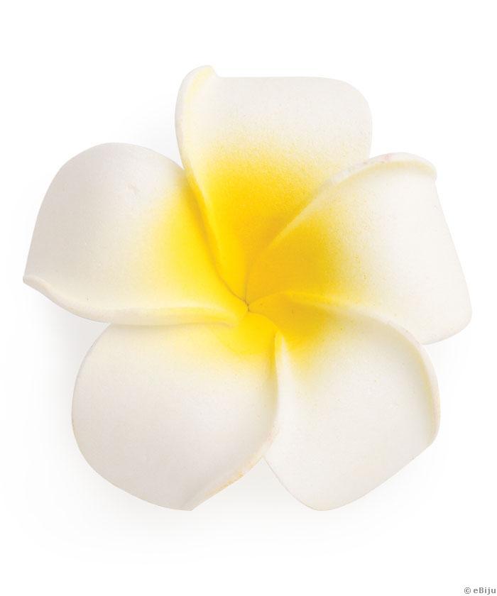 Clama par floare plumeria