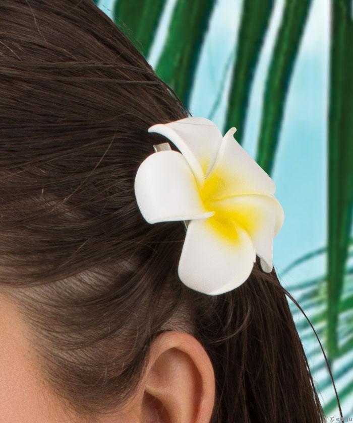 Clama par floare plumeria